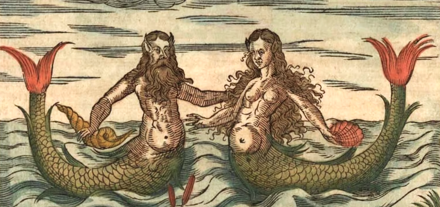 april struthers recommends how do you fuck a mermaid pic