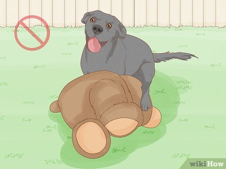 Best of How to hump wikihow