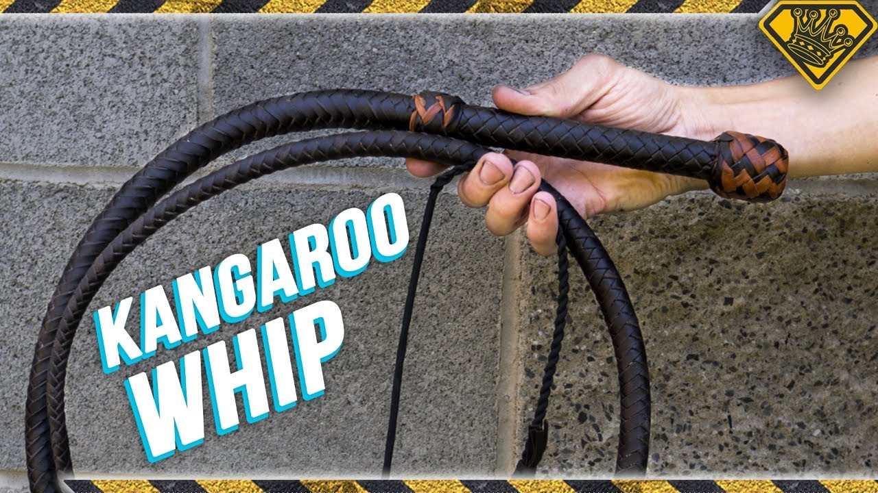 daniela dombrowski recommends How To Make A Homemade Bullwhip