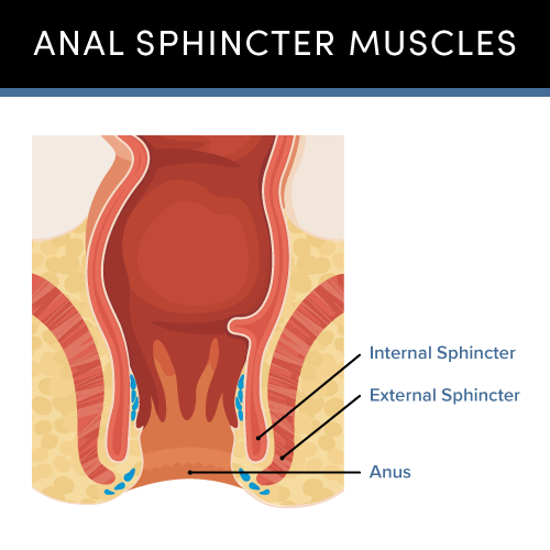 adam hanlon recommends how to stretch your ass hole pic