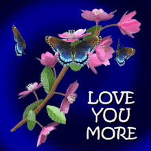 amber purvis add photo i love you more images gif