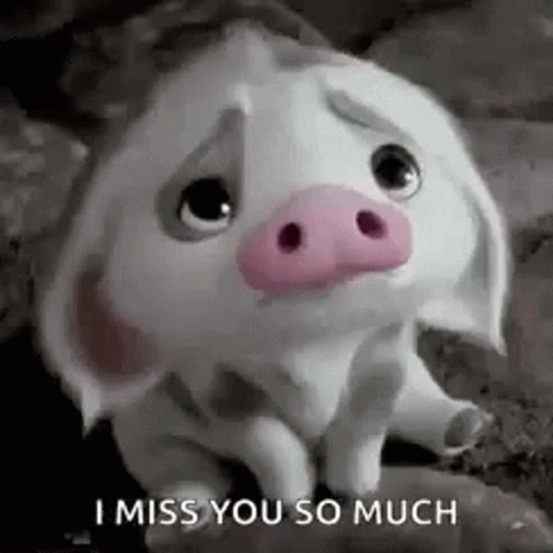 dianne mitton recommends i miss you this much gif pic