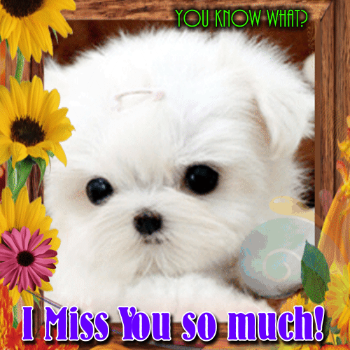 david ogega share i miss you this much gif photos