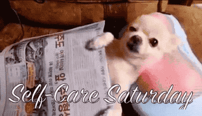 arunkumar ramamurthy recommends its saturday gif pic