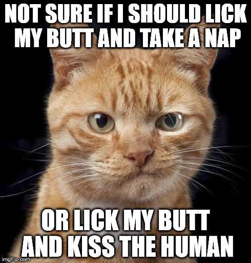 lick on my butt