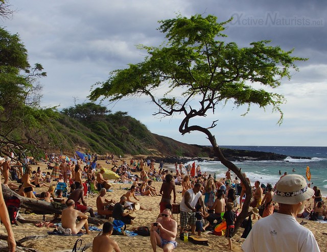 claire labuschagne recommends little beach maui naked pic