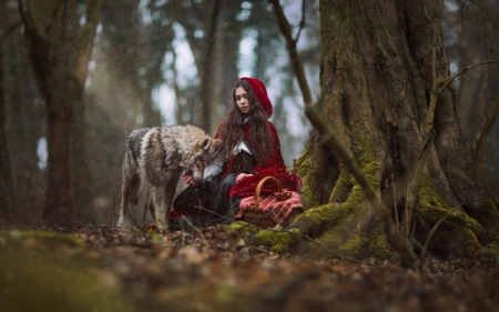 devin ashby recommends little red riding hood photoshoot pic