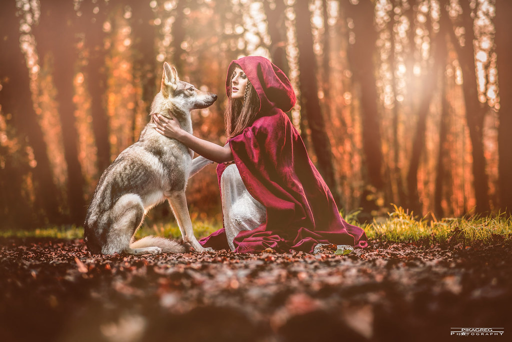 alaa majeed add little red riding hood photoshoot photo