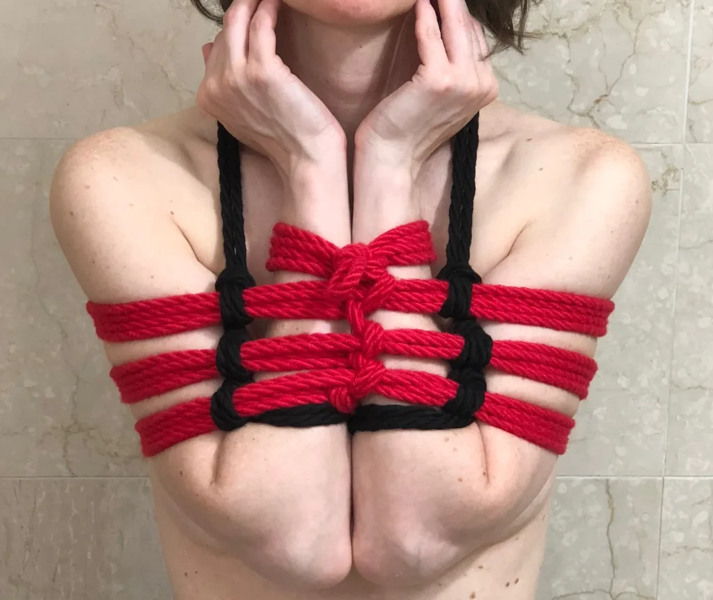 ashok shady recommends lots of rope bondage pic