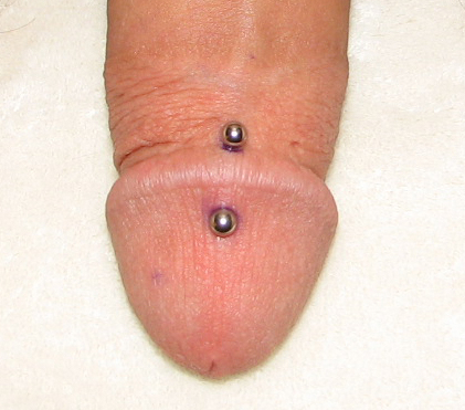 brian deez recommends male genital piercings pictures pic