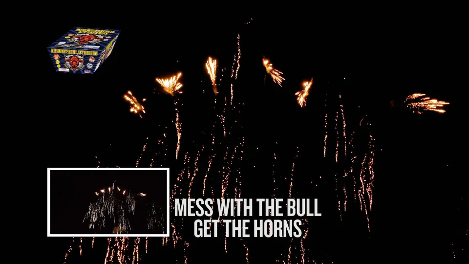 ann marie loughran add mess with the bull get the horns gif photo