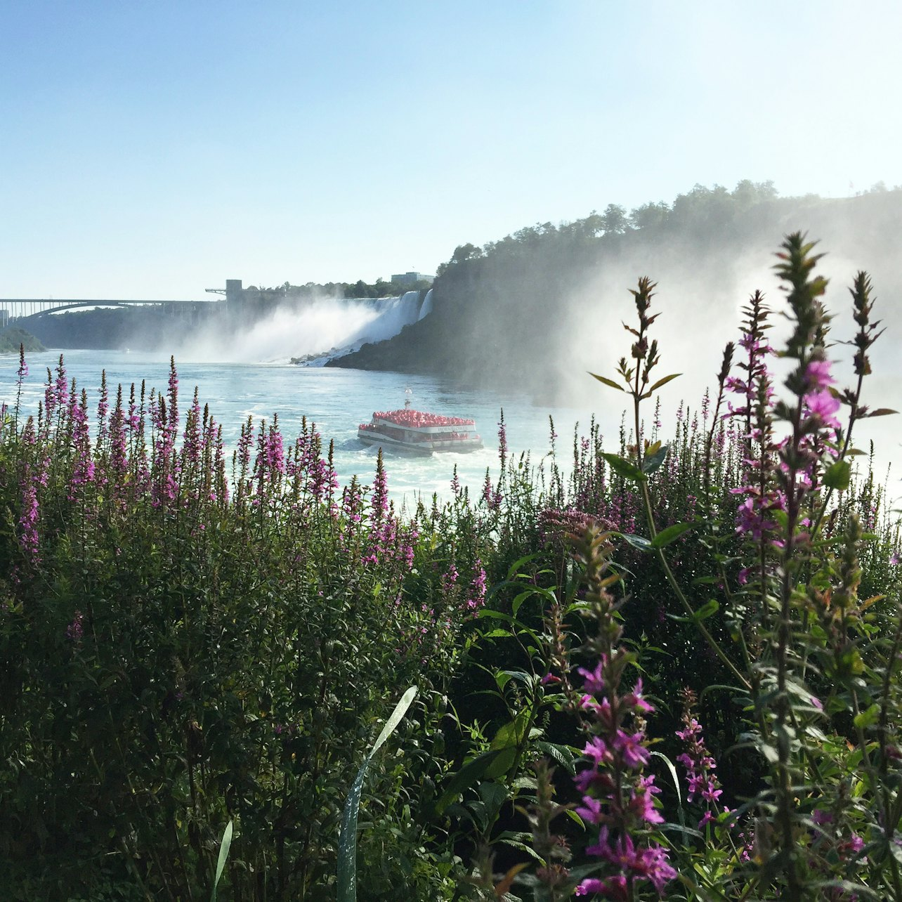 danny yam recommends Niagara Falls Canada Backpage