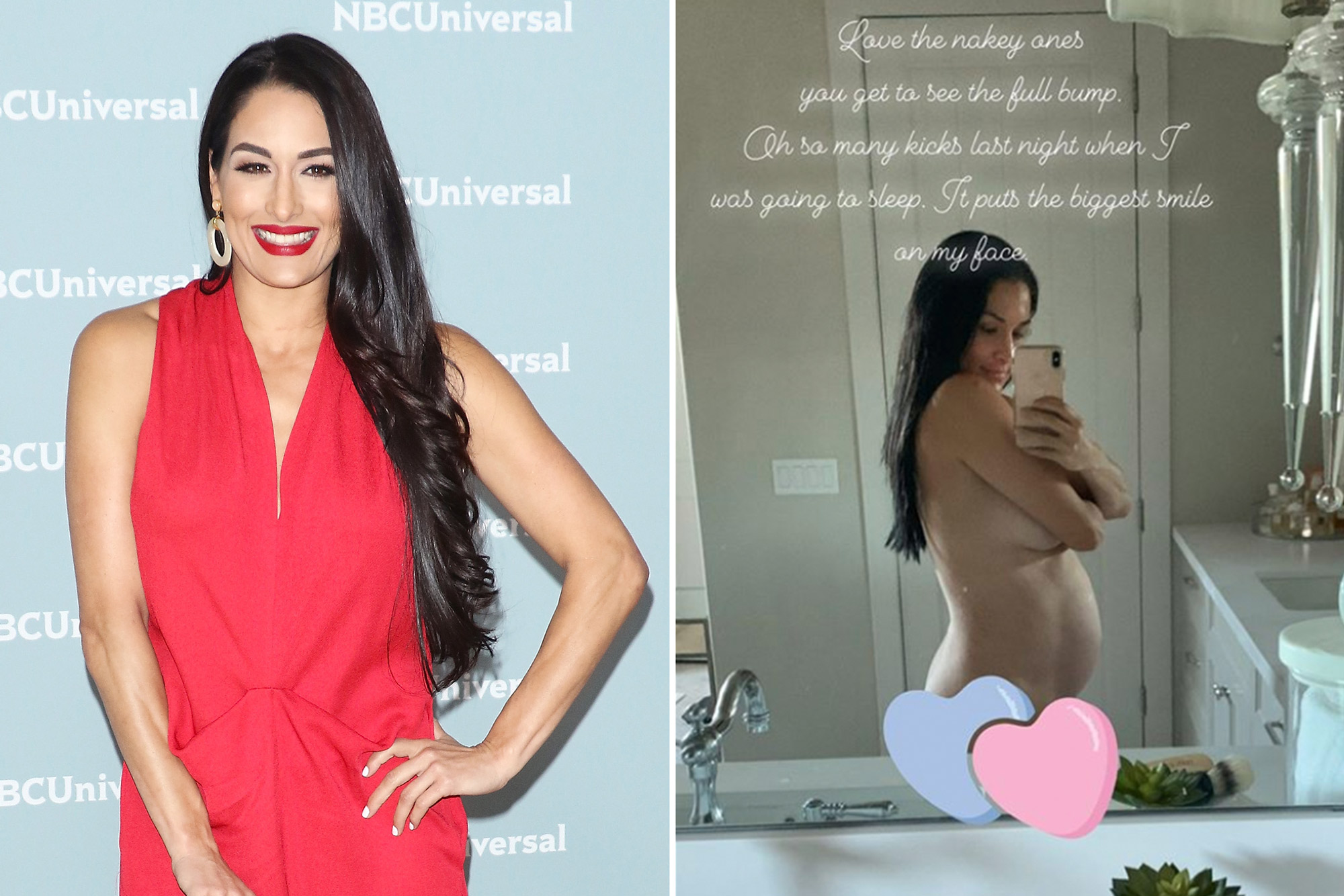 annie gaffney recommends nikki and brie bella naked pic
