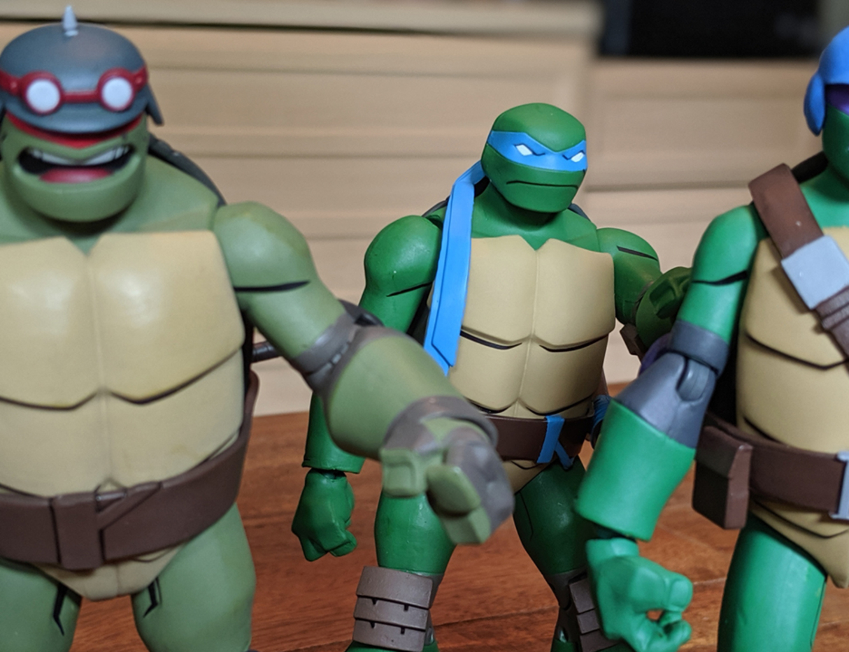 danielle macaluso share ninja turtle videos of toys photos