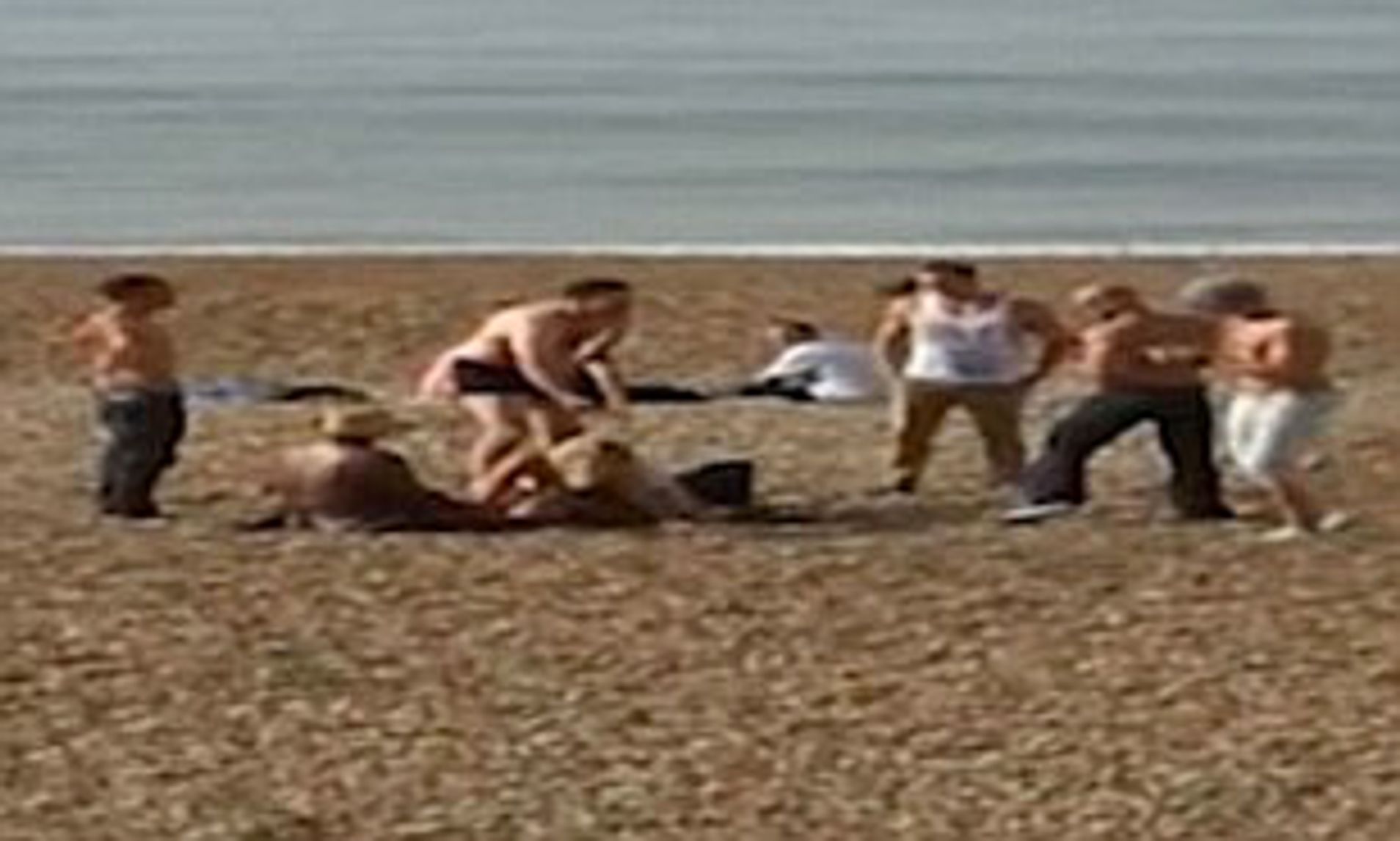 alfredo vidal mercado add photo nudist sex on beach