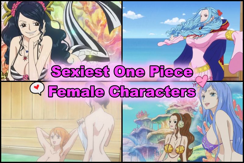 One Piece Sexy Females in guy