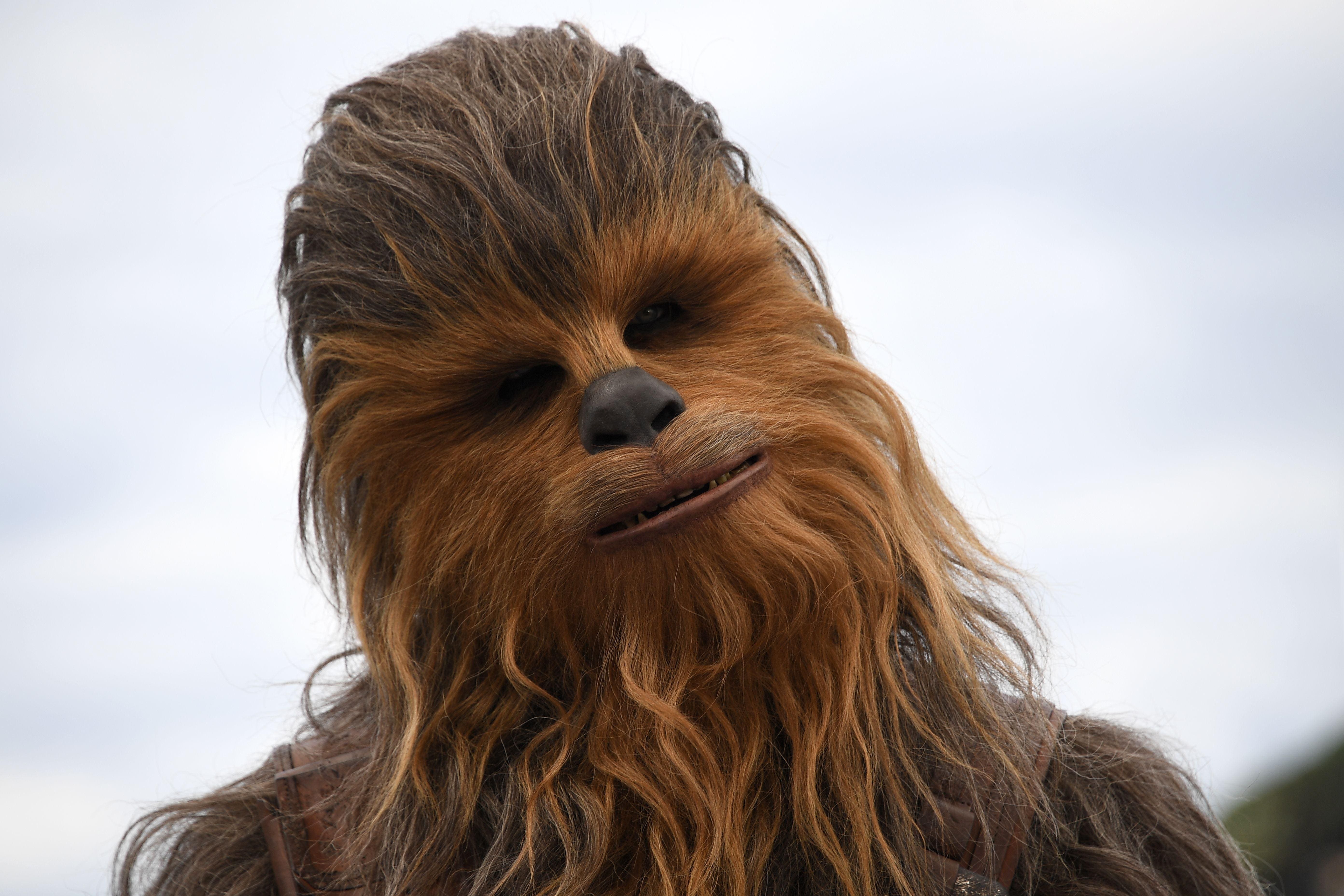 don westman add pictures of chewy from star wars photo