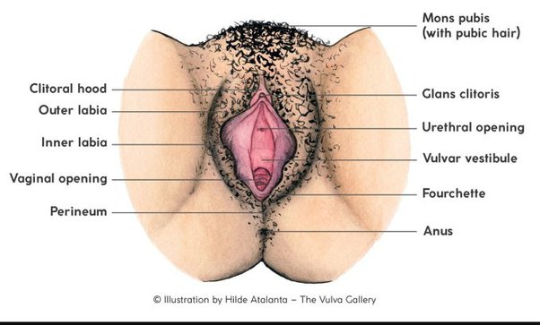 porn tube big tits ass licking