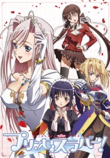 barry summers recommends Princess Lover Anime