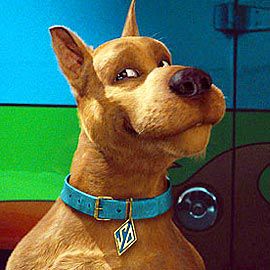 brittany nardone recommends scooby doo pic pic