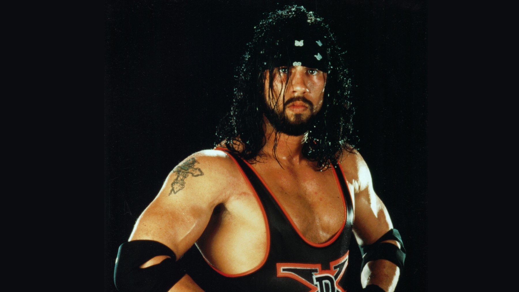 barbara cooksey recommends Sean Waltman Sex Tape