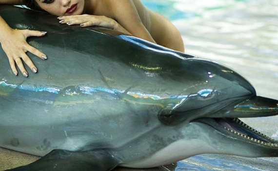 dorothea rankin recommends sex with dolphin video pic
