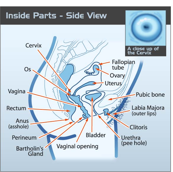 claudia revilla recommends show me your vagina tumblr pic