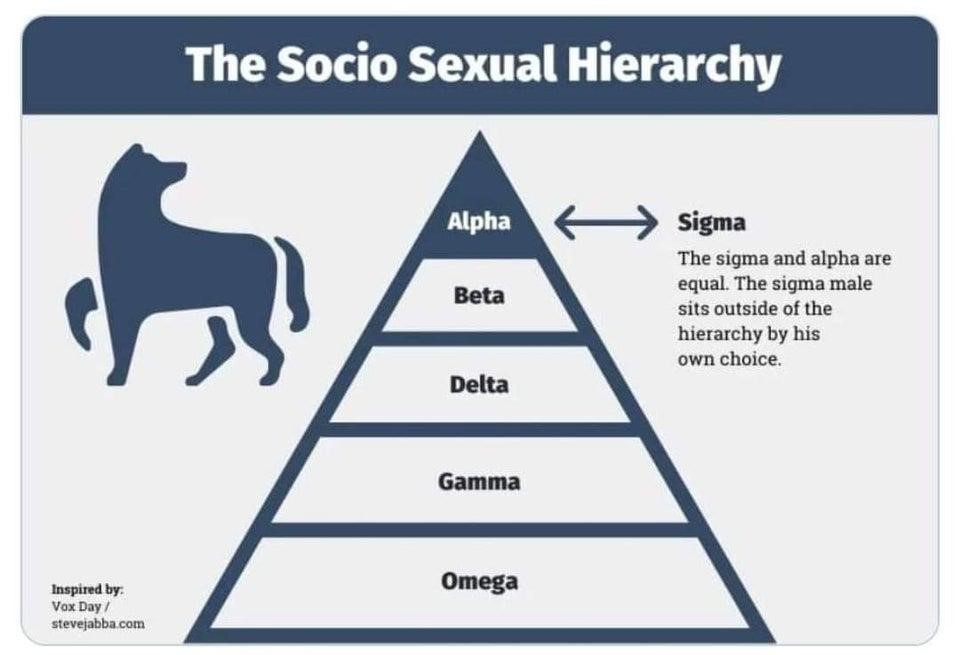 sigma vs omega 2