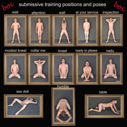 brett moxham recommends submissive wife training positions pic