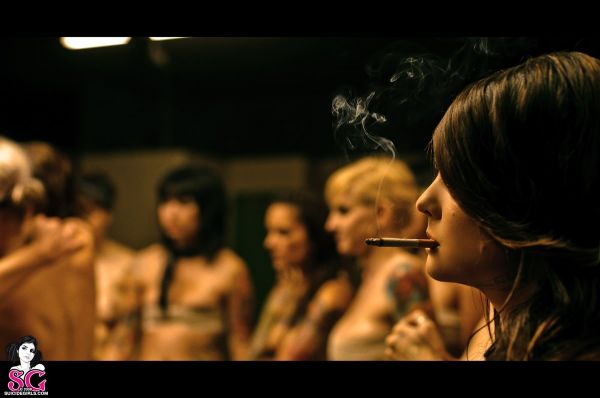 anna miao recommends Suicide Girls Fight Club