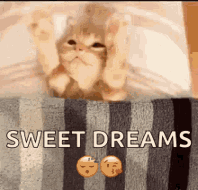 david russler recommends sweet dreams gif funny pic