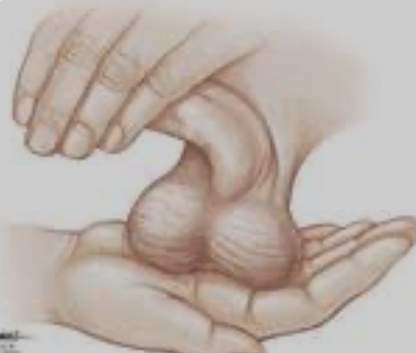 Testicle Massage Near Me clapping videos