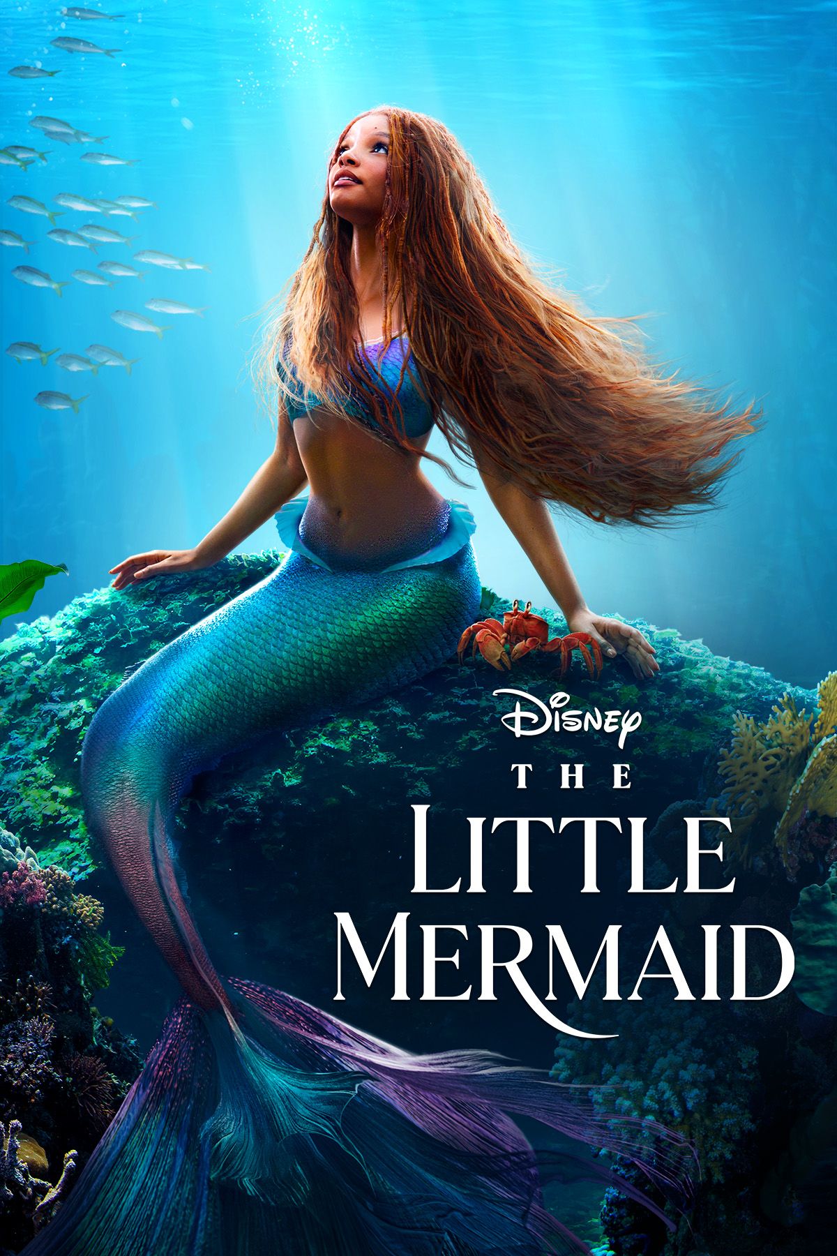 adele alvarez add the mermaid movie download photo
