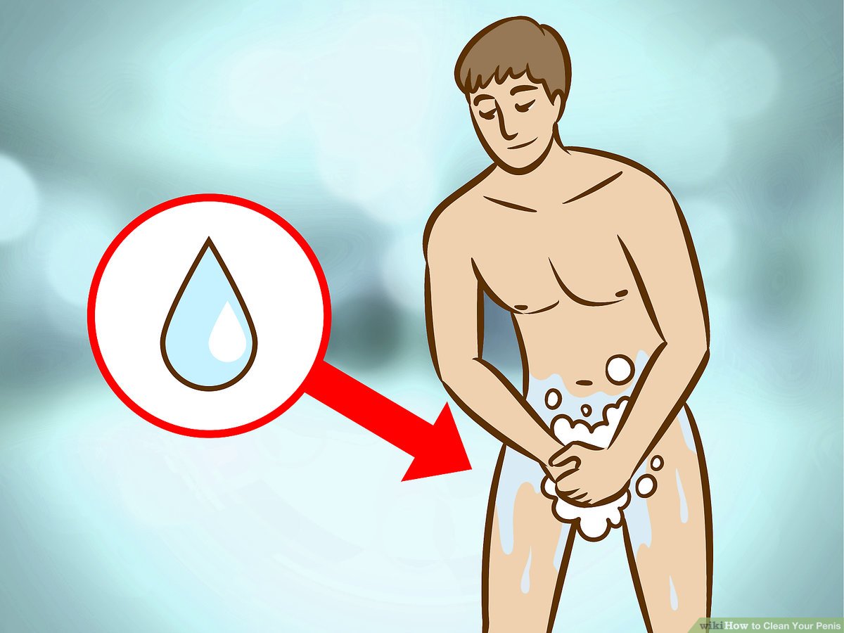 things to put your dick in