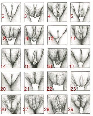 ashleigh thomas add types of vagina porn photo