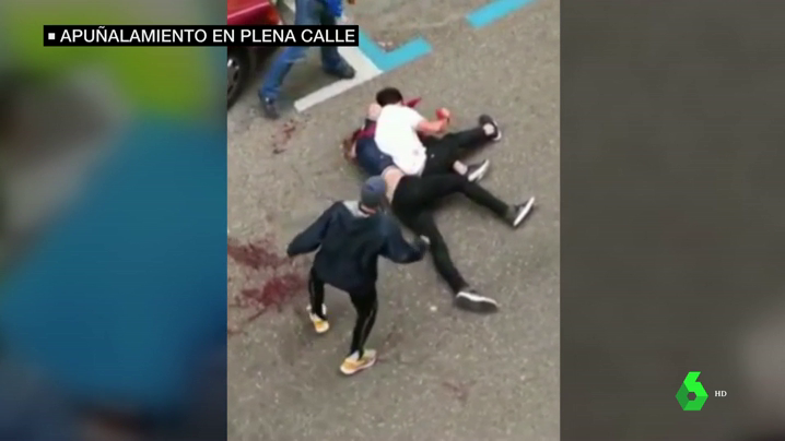 bojana baric add videos de peleas sangrientas photo