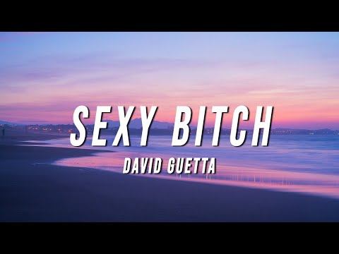 Best of Who sings sexy bitch