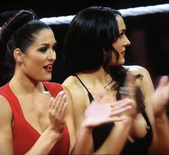 wwe bella twins nipple slip