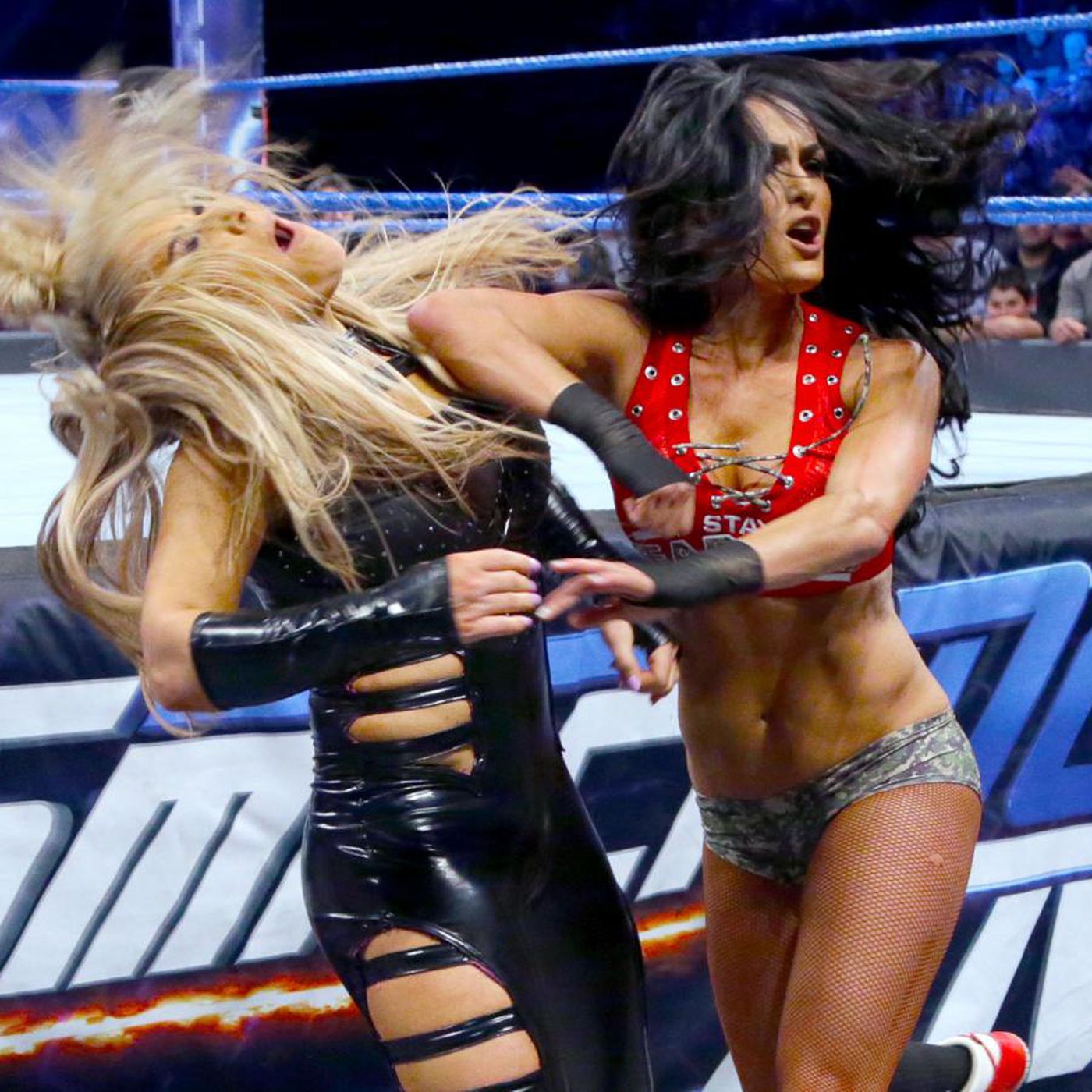 claudia nel recommends Wwe Nikki Bella Vs